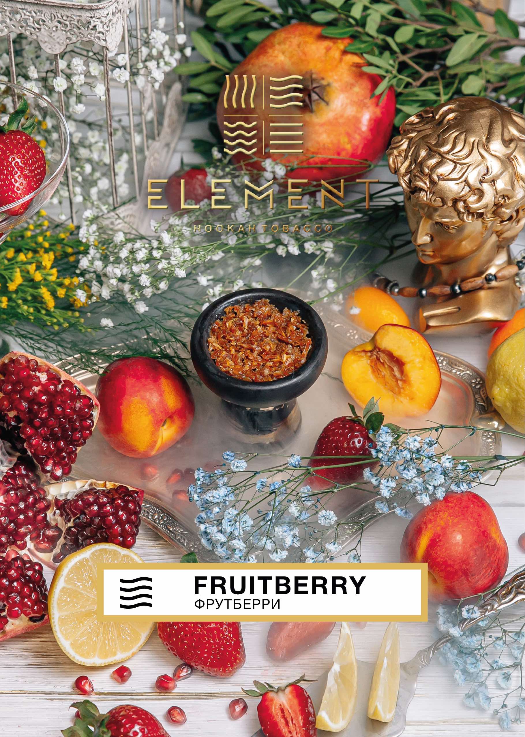 картинка Табак Element Воздух - Fruitberry 25 гр. от магазина BigSmoke